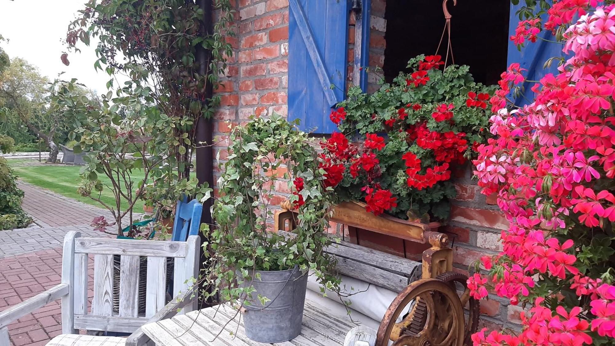 Siedlisko Nad Miedwiem Stargard in Pommern Exterior foto