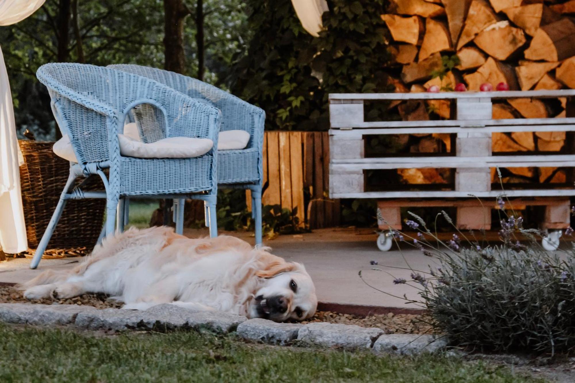Siedlisko Nad Miedwiem Stargard in Pommern Exterior foto